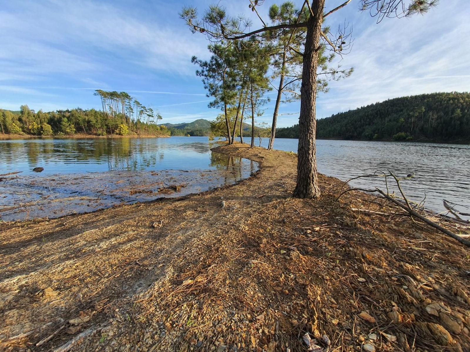 Quinta Dos Avos Lourenco Sertã Exteriör bild